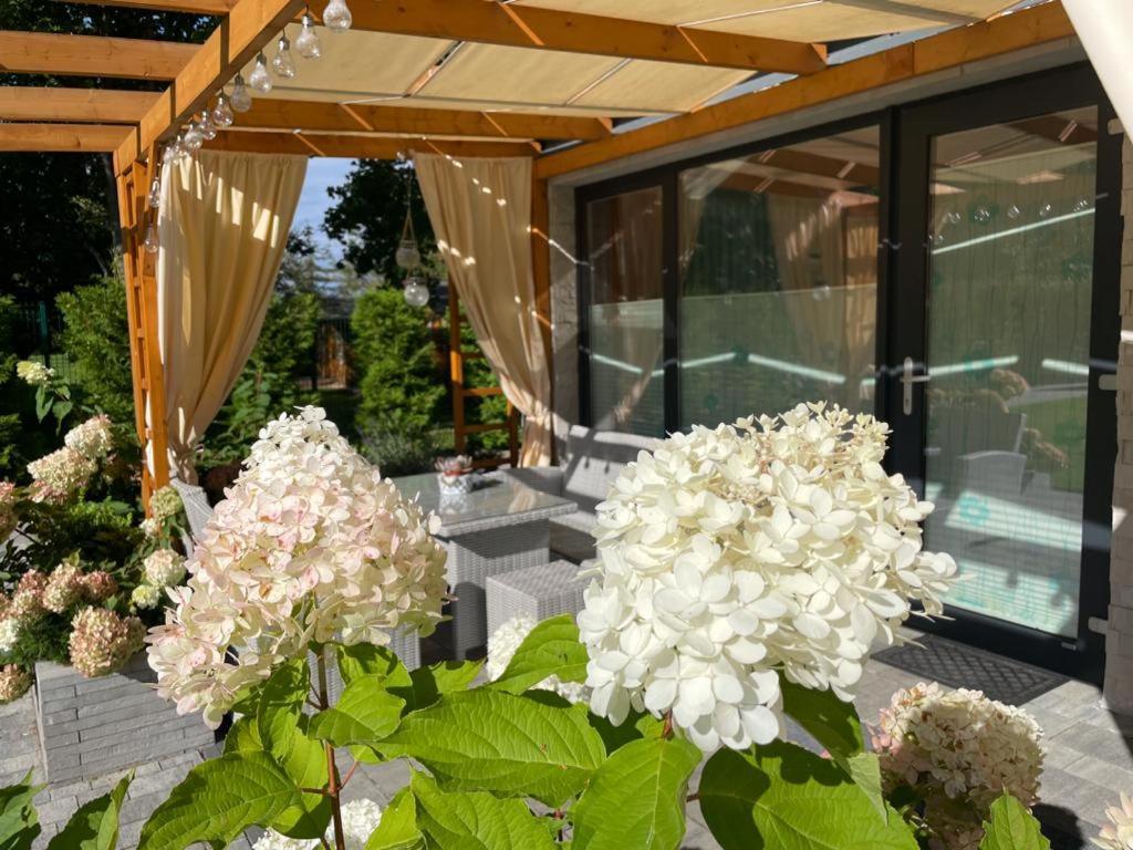 Osada Family Park Apartment *